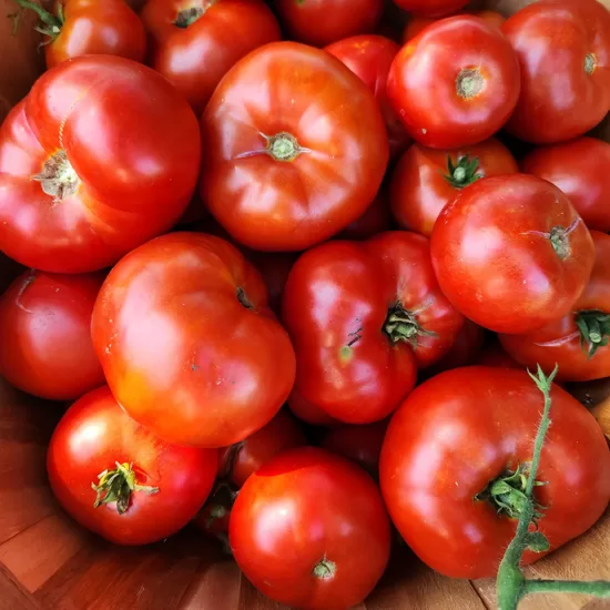 Tomātu šķirne ‘Ananas’ 